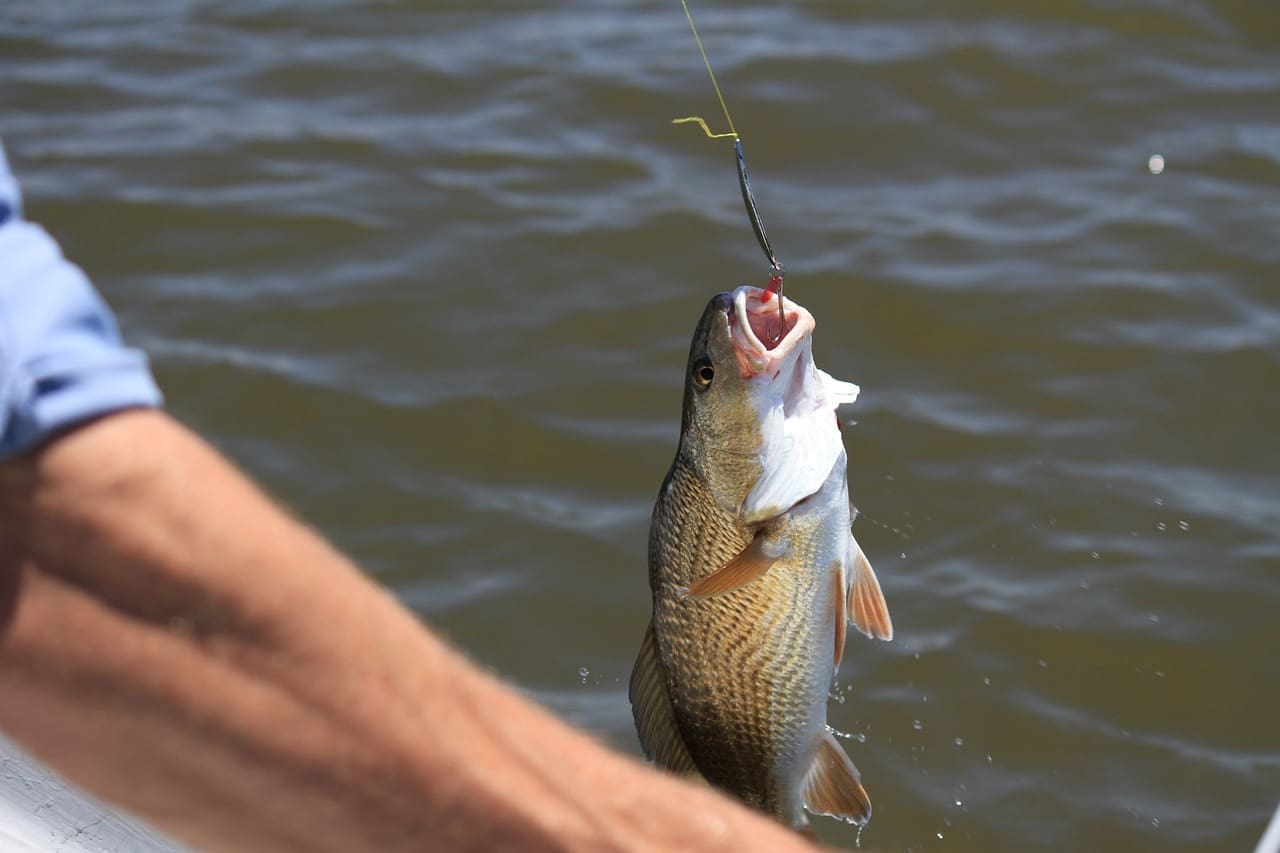 Les's Bait and Marina 6 fishing fisherman blue sky 1015758